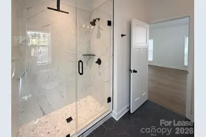 186 Caledonia Road, Landrum, SC 29356 - Photo 8