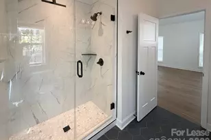 186 Caledonia Rd, Landrum, SC 29356 - Photo 8