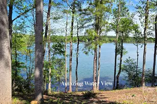 905 Raffaelo View, Mount Holly, NC 28120 - Photo 2