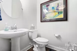 905 Raffaelo View, Mount Holly, NC 28120 - Photo 10