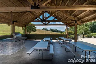 31 Grizzly Dr, Leicester, NC 28748 - Photo 48