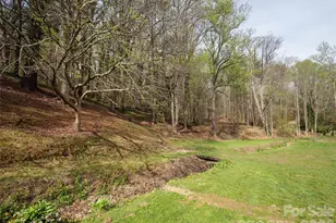 91 Rice Branch Rd, Asheville, NC 28804 - Photo 22