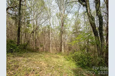 91 Rice Branch Road, Asheville, NC 28804 - Photo 28