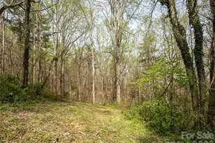 91 Rice Branch Rd, Asheville, NC 28804 - Photo 28