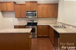 10976 Cedar Walk Lane, Charlotte, NC 28277 - Photo 12