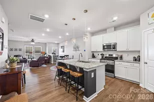 909 Cobbled Wy, Fort Mill, SC 29715 - Photo 8