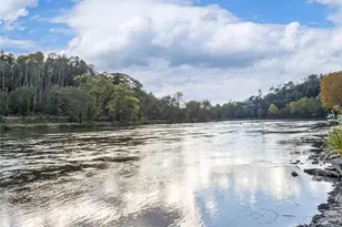 13 Norton Dr, Asheville, NC 28804 - Photo 30