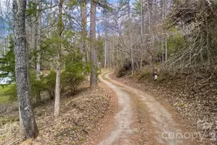 133 Birdie Watson Rd, Rutherfordton, NC 28139 - Photo 8