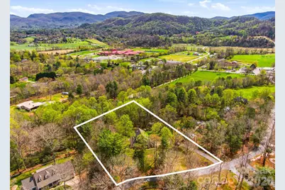 32 Franklin Farm Road, Fletcher, NC 28732 - Photo 4