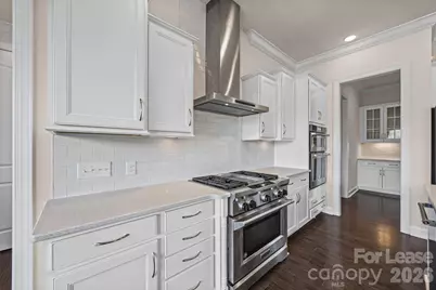 12712 Rusty Blackbird Way, Charlotte, NC 28278 - Photo 12