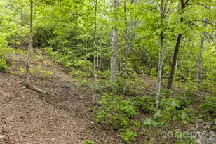 286 Holmstead Dr, Lake Lure, NC 28746 - Photo 40