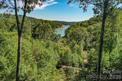 286 Holmstead Drive, Lake Lure, NC 28746 - Photo 6