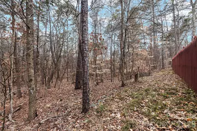10944 Hellebore Road, Charlotte, NC 28213 - Photo 38