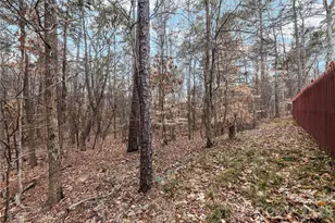 10944 Hellebore Rd, Charlotte, NC 28213 - Photo 38