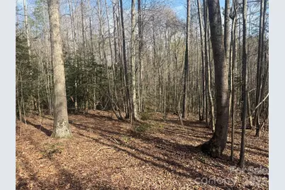 1164 Robert C Kellam Road, Pinnacle, NC 27043 - Photo 42