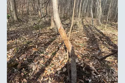 1164 Robert C Kellam Road, Pinnacle, NC 27043 - Photo 28