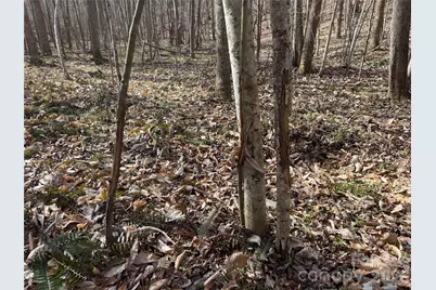 1164 Robert C Kellam Road, Pinnacle, NC 27043 - Photo 22