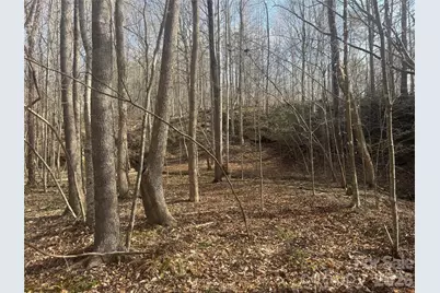 1164 Robert C Kellam Road, Pinnacle, NC 27043 - Photo 32