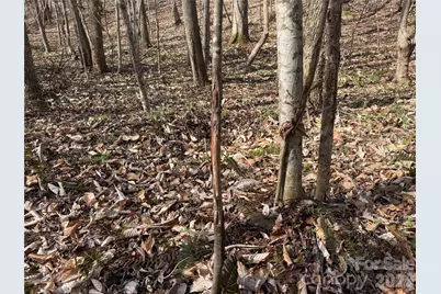 1164 Robert C Kellam Road, Pinnacle, NC 27043 - Photo 24