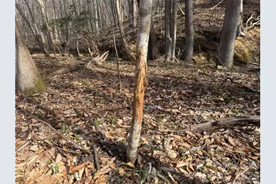 1164 Robert C Kellam Road, Pinnacle, NC 27043 - Photo 26