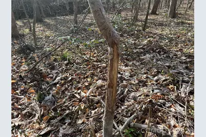 1164 Robert C Kellam Road, Pinnacle, NC 27043 - Photo 30