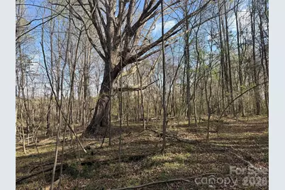 1164 Robert C Kellam Road, Pinnacle, NC 27043 - Photo 16