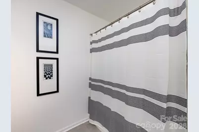 8903 Ansley Park Place, Huntersville, NC 28078 - Photo 36
