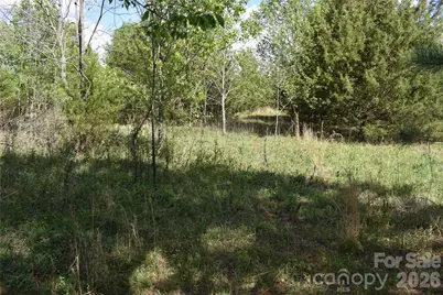 56 Malden Court, Crouse, NC 28033 - Photo 22