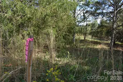 56 Malden Court, Crouse, NC 28033 - Photo 24