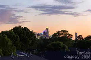 3630 N Davidson St, Charlotte, NC 28205 - Photo 14
