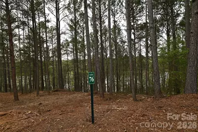 2299 Lighthouse Lane #76, Connelly Springs, NC 28612 - Photo 24
