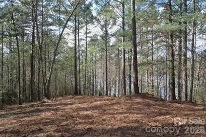 2299 Lighthouse Lane #76, Connelly Springs, NC 28612 - Photo 4