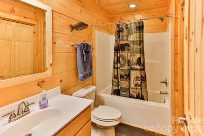 670 Island Creek Road, Lake Lure, NC 28746 - Photo 14