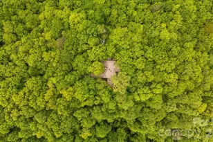 100 Gold Creek Crossing, Black Mountain, NC 28711 - Photo 44