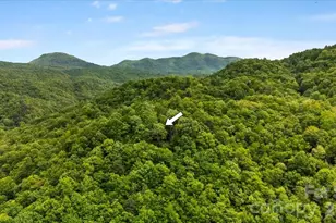 100 Gold Creek Crossing, Black Mountain, NC 28711 - Photo 42