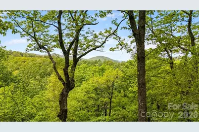 100 Gold Creek Crossing, Black Mountain, NC 28711 - Photo 38