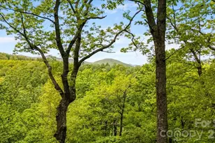 100 Gold Creek Crossing, Black Mountain, NC 28711 - Photo 38