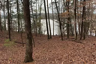 205 Kingfisher Ct, New London, NC 28127 - Photo 6