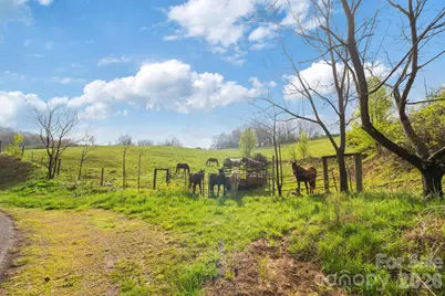 618 Beaverdam Street, Canton, NC 28716 - Photo 10