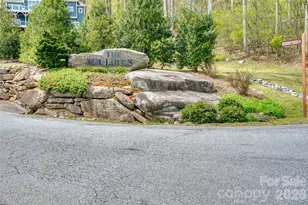 81 Curtain Blf, Hendersonville, NC 28791 - Photo 1