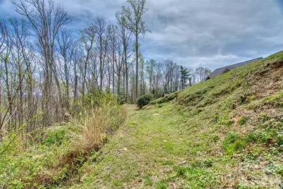 81 Curtain Bluff, Hendersonville, NC 28791 - Photo 18