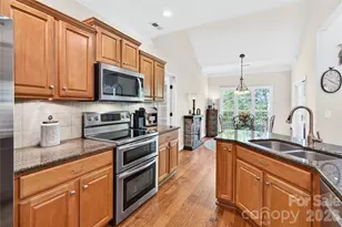 6060 Latta Springs Cir, Huntersville, NC 28078 - Photo 8