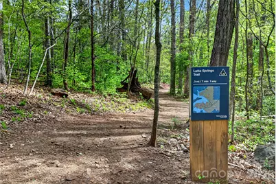 6060 Latta Springs Circle, Huntersville, NC 28078 - Photo 36