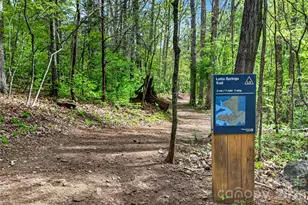 6060 Latta Springs Cir, Huntersville, NC 28078 - Photo 36