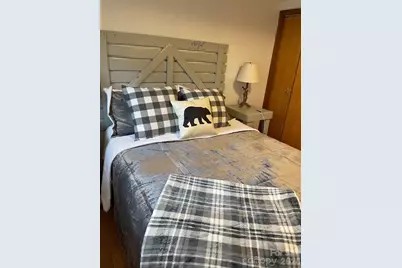 394 Jonathan Lane, Lake Lure, NC 28746 - Photo 24