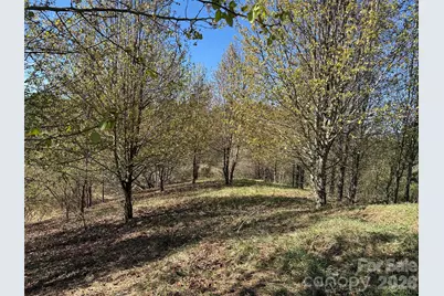 Tbd (Lot 21 & 22) Martha Lane #21 & 22, Piney Creek, NC 28663 - Photo 8