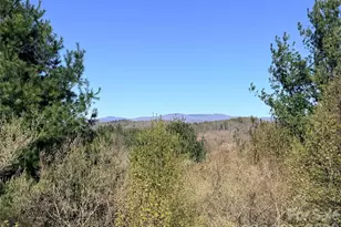 Tbd (Lot 21 & 22) Martha Ln, Piney Creek, NC 28663 - Photo 1