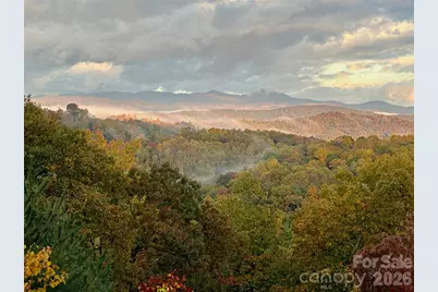 135 Crossvine Trail, Hendersonville, NC 28739 - Photo 42