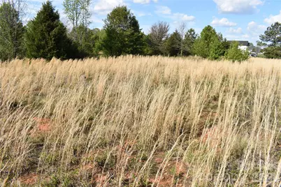 57 Malden Court, Crouse, NC 28033 - Photo 10