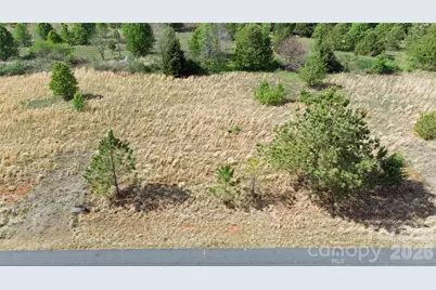 57 Malden Court, Crouse, NC 28033 - Photo 36